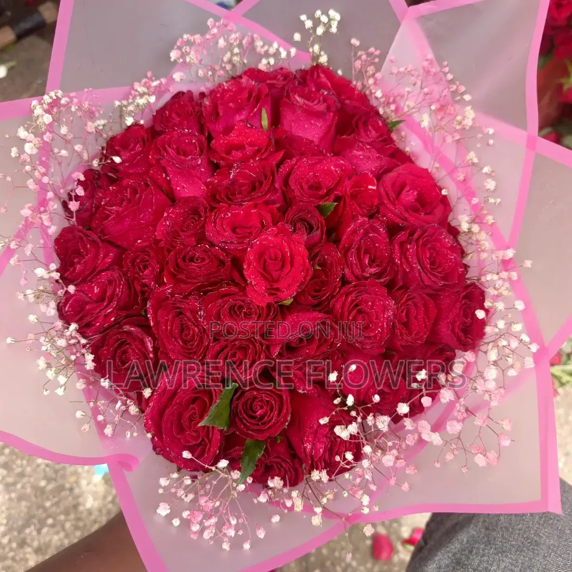 Birthday Packages