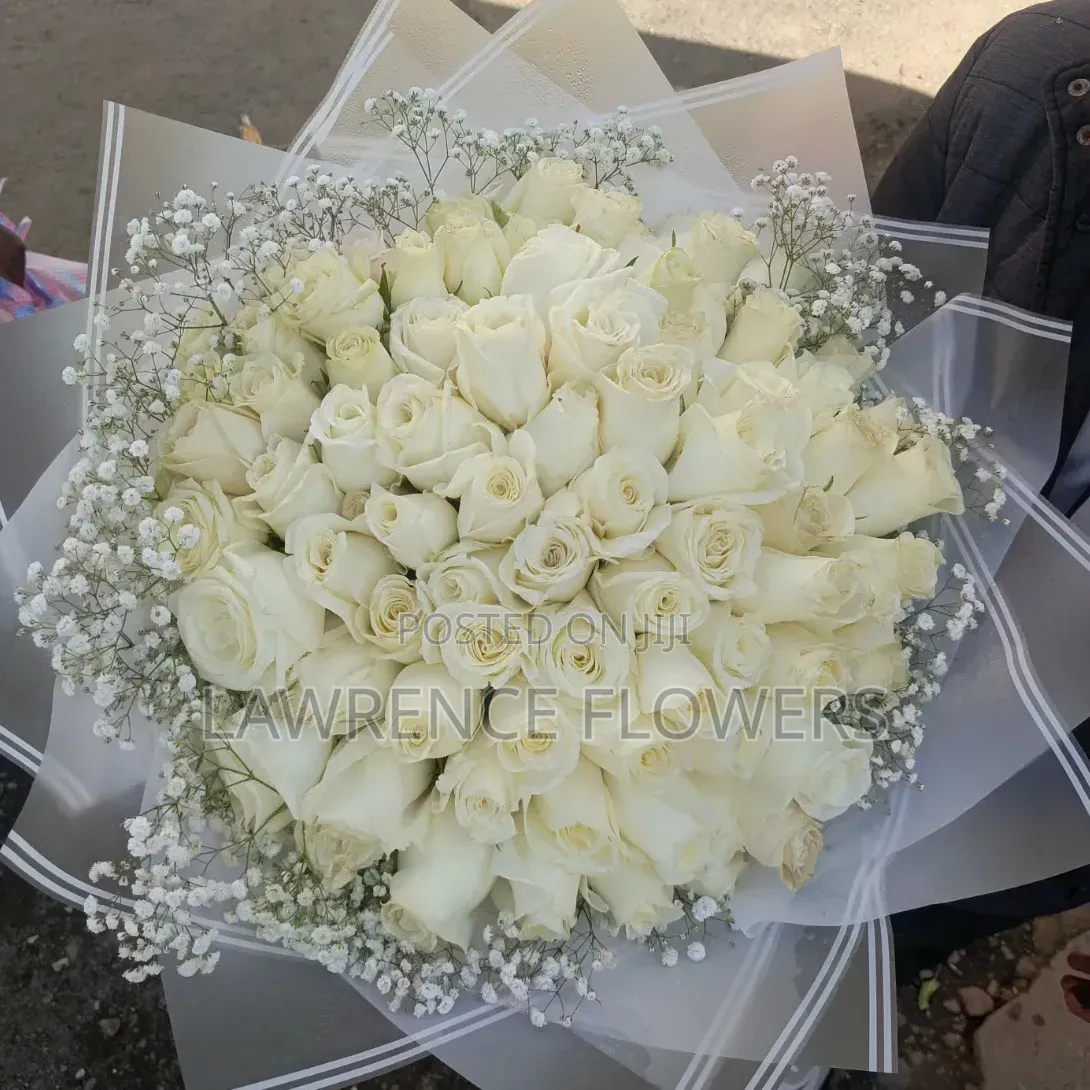 Birthday Packages