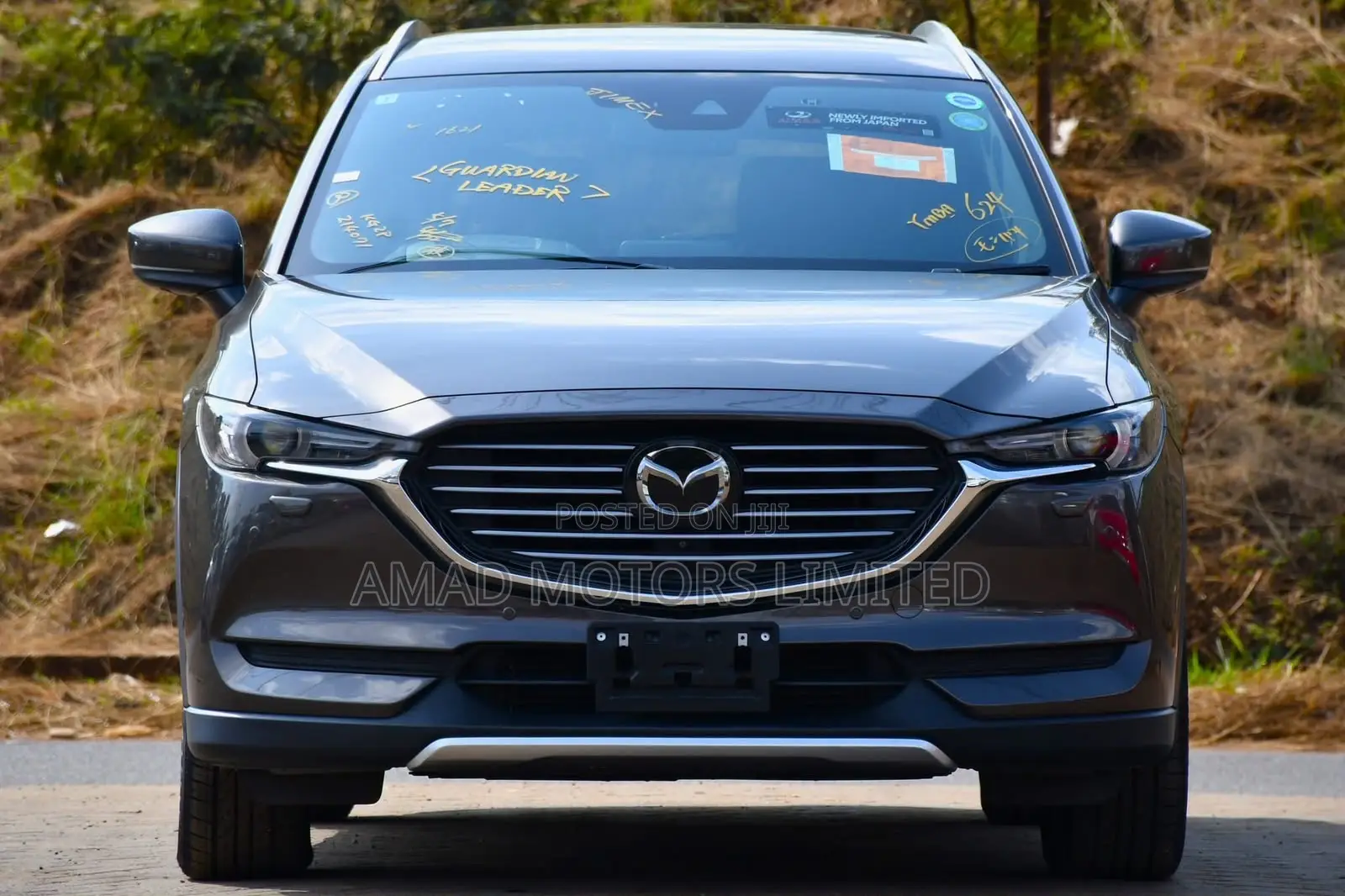 Mazda CX-8 2019
