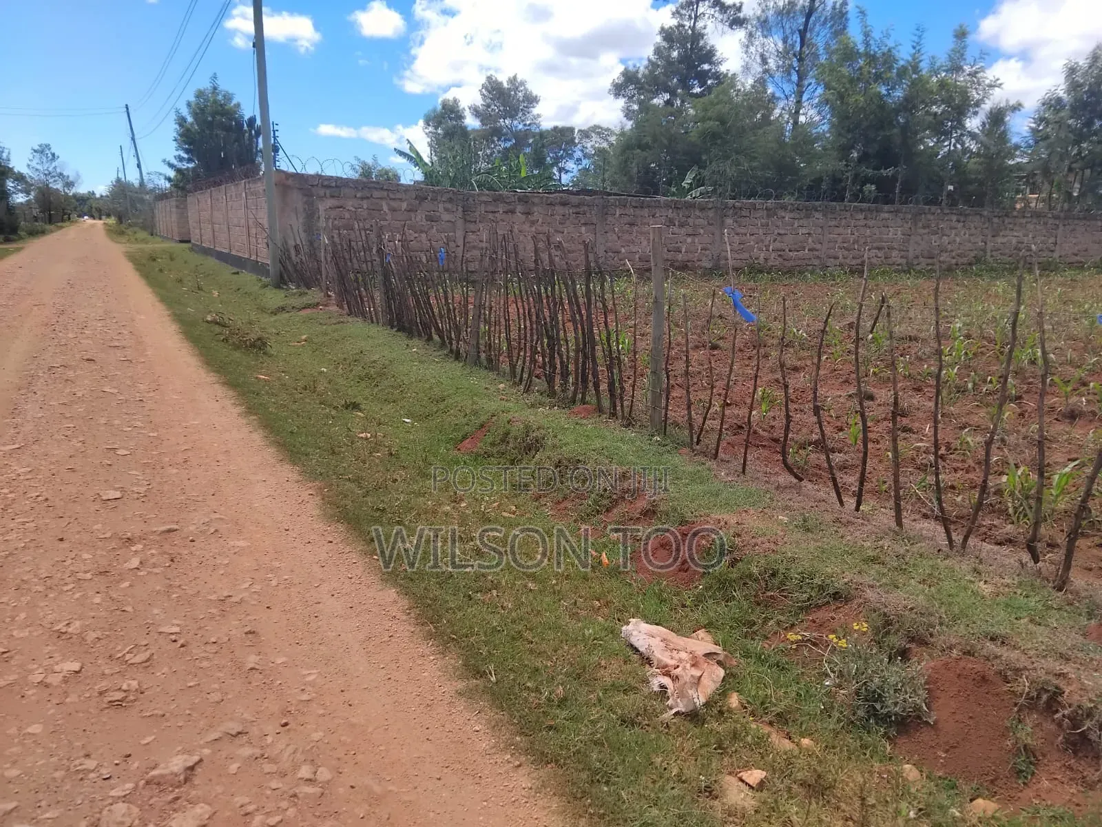 1/4 Plot Next to Mudavadi Racecourse Eldoret