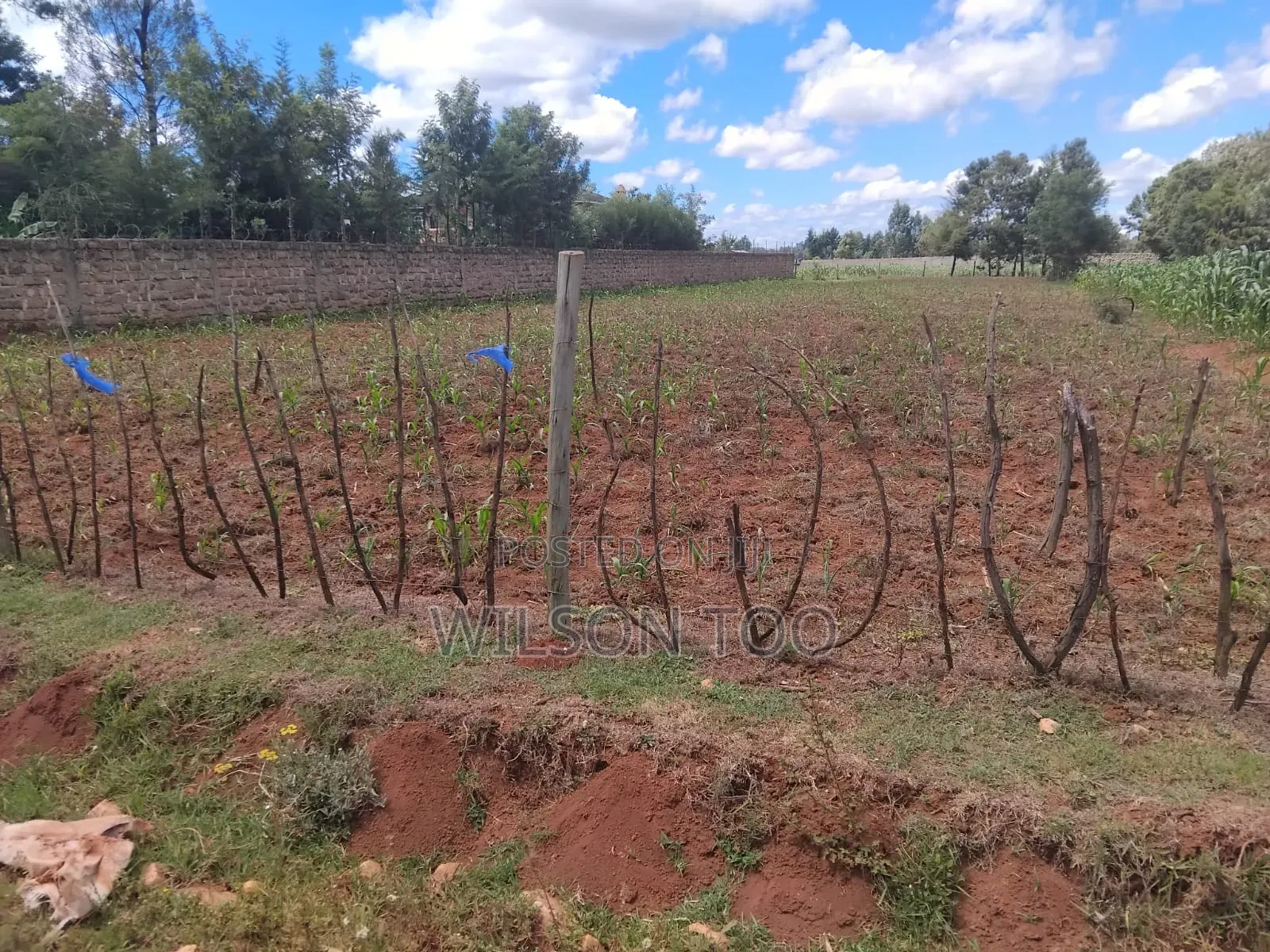 1/4 Plot Next to Mudavadi Racecourse Eldoret