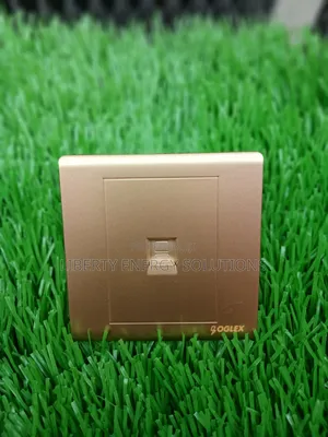 Oglex Data Socket Ex119g