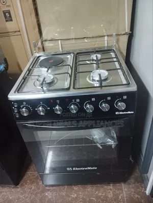 3+1 Standarding Cooker With an Electric Plate