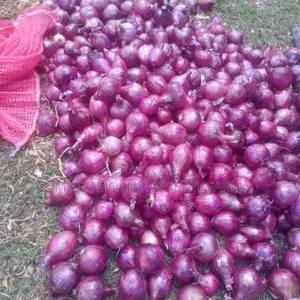 Dried Neptune Onions
