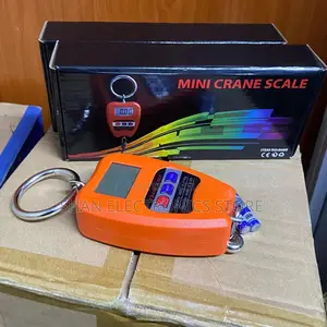 Mini Crane Scale 200kg Heavy Duty Affordable and Reliable