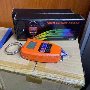 Portable Lightweight 200kg Mini Crane Digital Hanging Scale