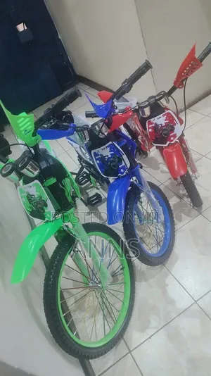 Classy Nduthi Type Bicycle