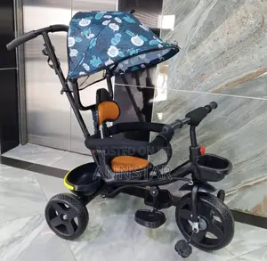 Tricycle With Canopy And Handle