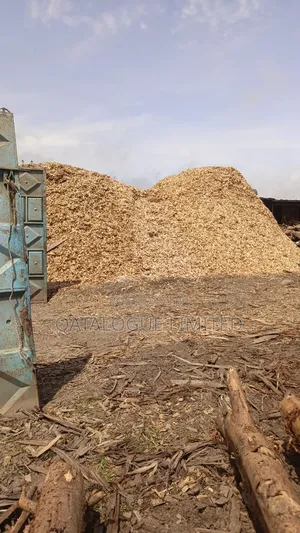 Woodchips for Sale in Bulk