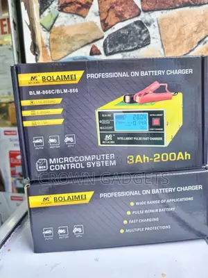 Bolaimei Fast Battery Charger for Lead Acid Batteries
