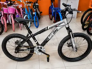 Beijing 20 Inch Mountain Bike