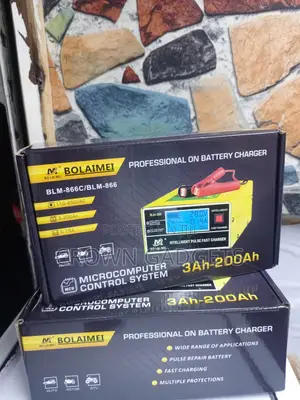 Bolaimei Portable Automotive Battery Charger