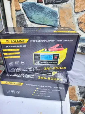 Bolaimei Heavy Duty 12v/24v Battery Charger