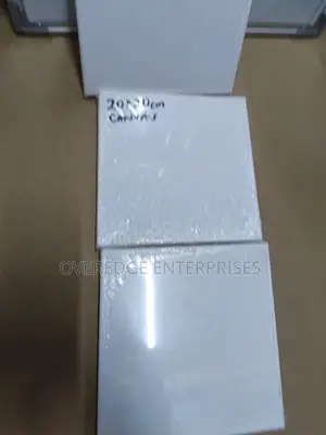 Drawing Canvases Available for Painting