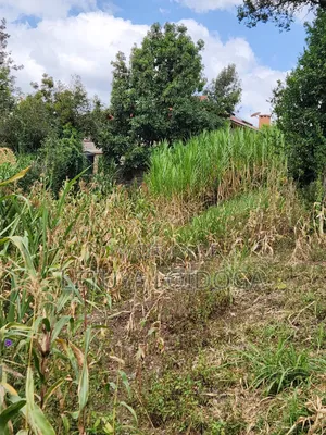 Distress Sale Ngong-Olepolos 1-Acre