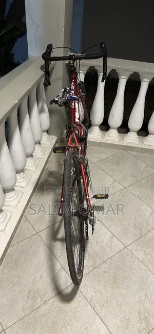 Fuji Road Bike