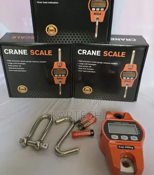 300kg Electronic Crane Scale With LCD Display