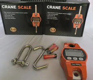300kg Digital Crane Weighing Hanging Scale