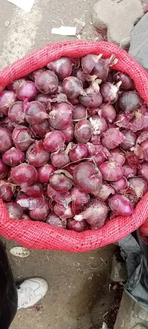We Sell Onions  at Affordable Prices Wholesale and Retail Price