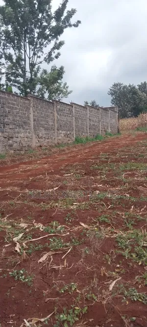 5 Acres on Sale at Maragua-Samar Area