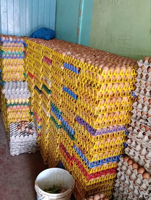 Eggs Tray 420/-