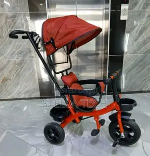 Tricycle With Canopy And Handle