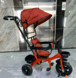 Tricycle With Canopy And Handle