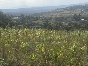 Two Acres Kibiku