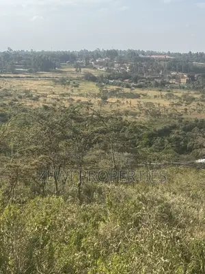 6 Acres Kibiku