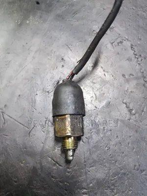 Reverse Switch Canter 4d32