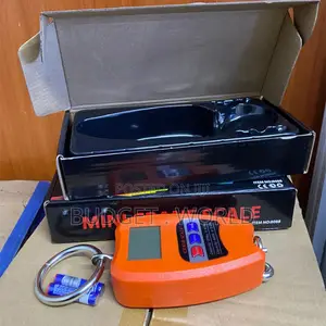 Digital 200kg Hanging Scale With Steel Hook LCD Screen