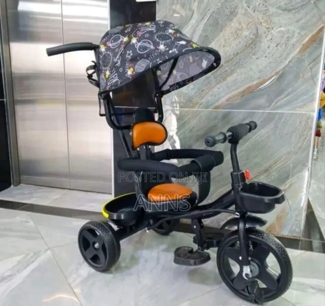 Tricycle With Canopy And Handle