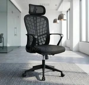 Office Chair : Mesh Back Executive Office Chair Ergonomic Design