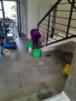 House Deep General Cleaning Solution