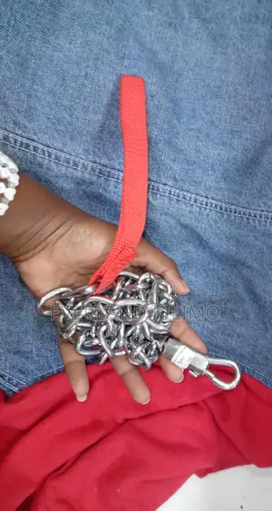 Stainless Steel Chain Leash for Heavy Duty Dogs