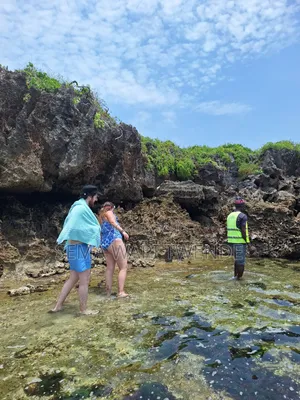 Map Africa Pool Tiwi