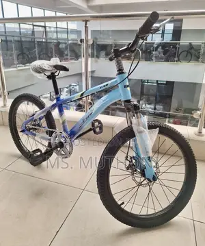 Brand New Bike for Sale! Size 20