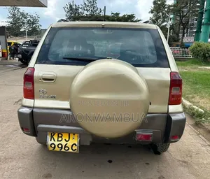 Toyota RAV4 2002 Beige