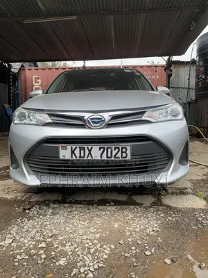 Toyota Corolla Fielder 2018 Silver