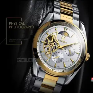 Tevise Luxury Automatic Skeleton Watch, Gold Silver Stainless Steel