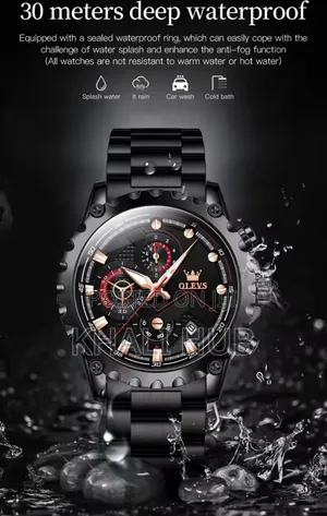 Olevs Casual and Business Gents Watch 2873