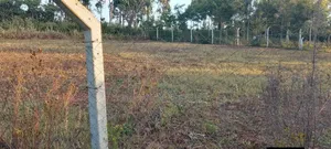 Mua Hills Land for Sale