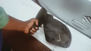 Suzuki Alto Sidemirror
