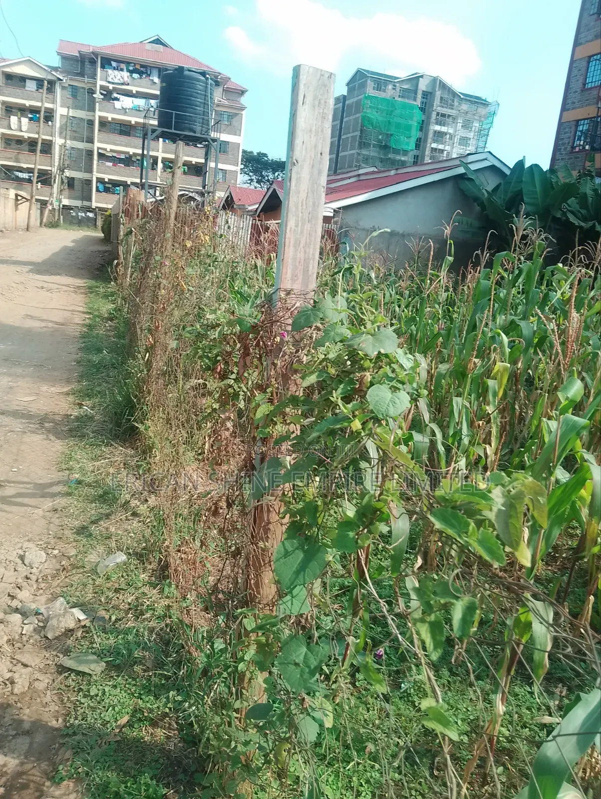 Lowe Kabete 1/8 Plot for Lease