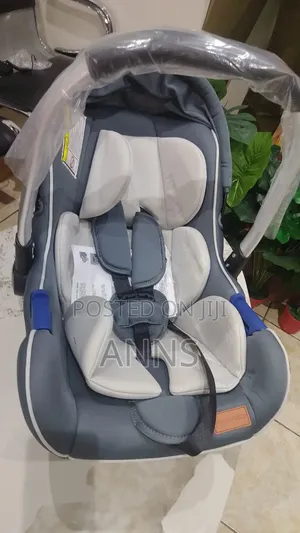 2 In 1 Carry Coat And Car Seat
