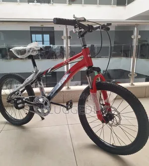 BMX Size 20 Bicycle.