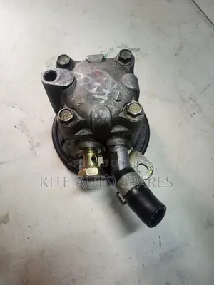 B4 Steering Pump