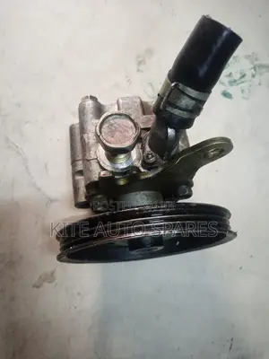 B4 Steering Pump