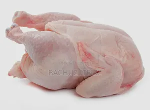Broiler Chicken