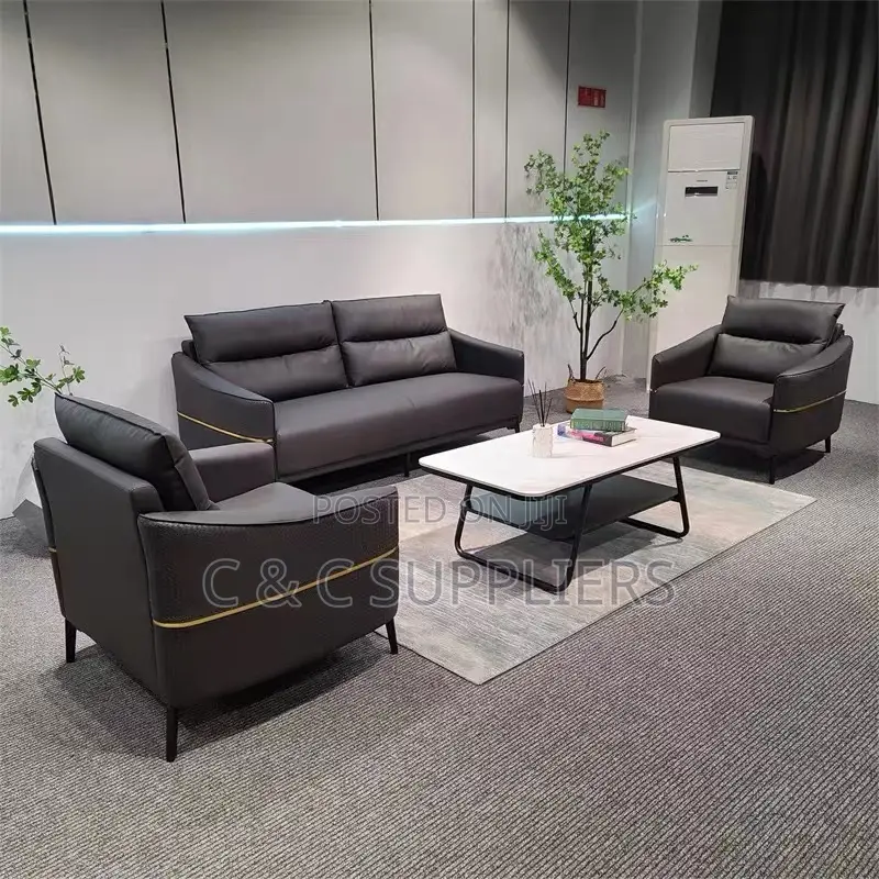 Leather Sofa Set